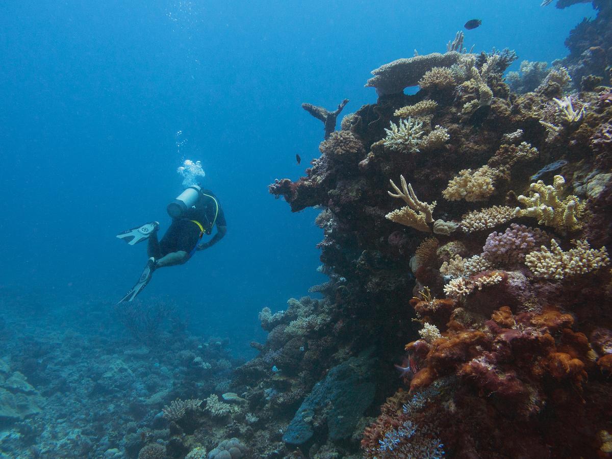 Oneta Resort Naqara Luaran gambar