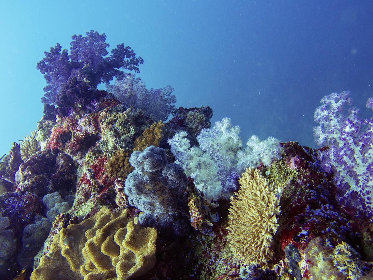 Oneta Resort Naqara Luaran gambar