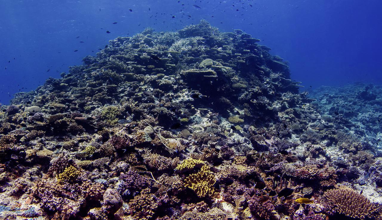 Oneta Resort Naqara Luaran gambar